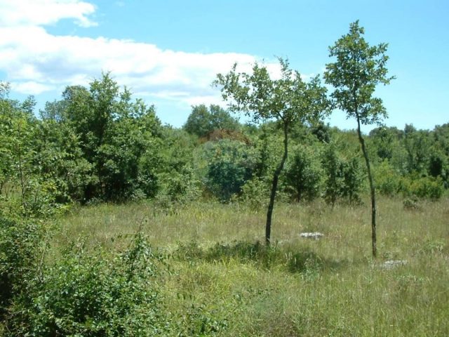 Pozemek na prodej 2206 m² – Kloštar