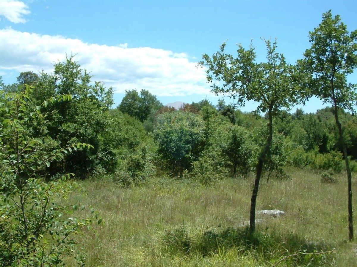 Pozemok Na predaj - ISTARSKA  SVETI LOVREČ 