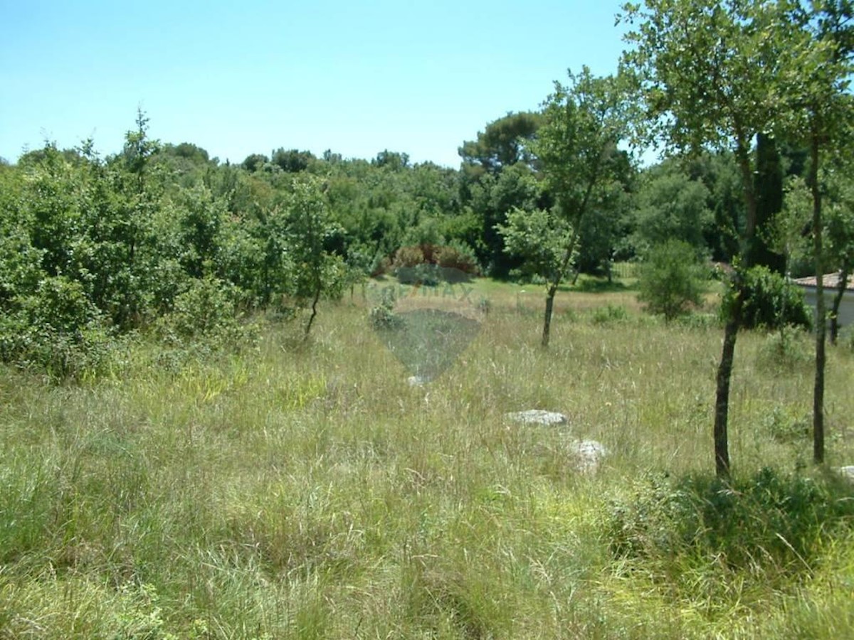 Pozemok Na predaj - ISTARSKA  SVETI LOVREČ 