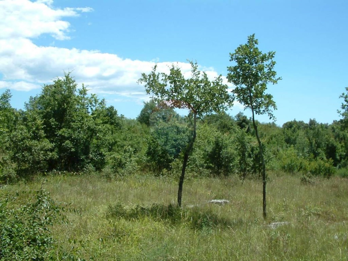 Parcela Naprodaj - ISTARSKA  Sveti Lovreč