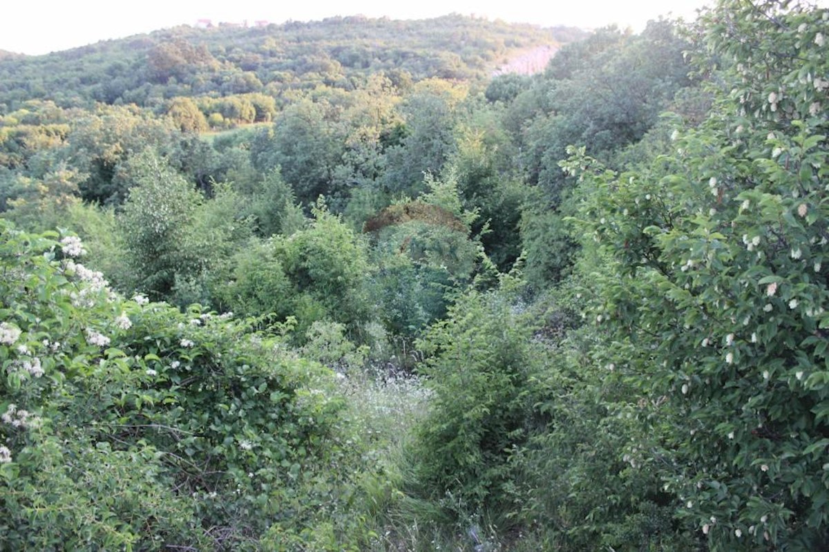 Land For sale BUZDOHANJ