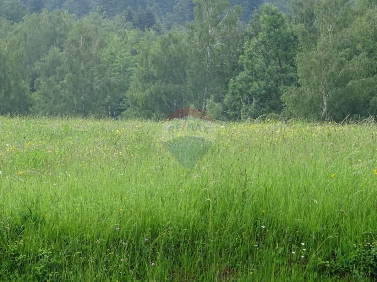 Terreno In vendita - PRIMORSKO-GORANSKA  RAVNA GORA 