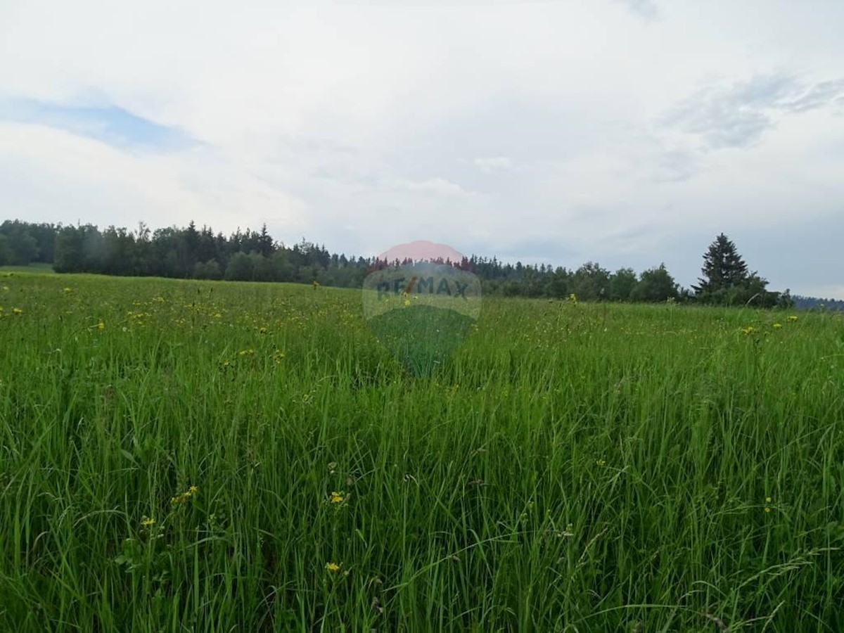 Terreno In vendita - PRIMORSKO-GORANSKA  RAVNA GORA 