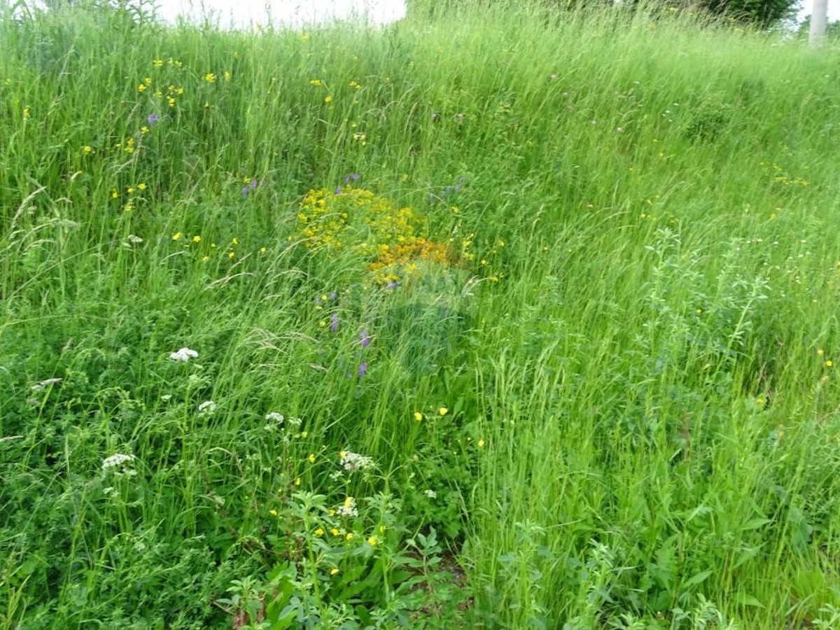 Terreno In vendita - PRIMORSKO-GORANSKA  RAVNA GORA 