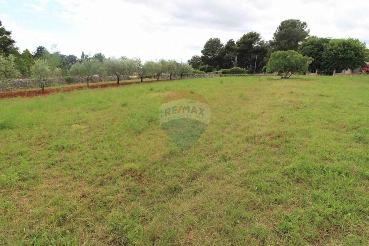 Land For sale - ISTARSKA  VIŠNJAN 