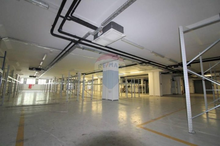 Komerčné na prenájom 1736 m² – Škurinje