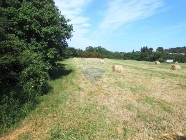 Pozemek na prodej 4279 m² – Pula