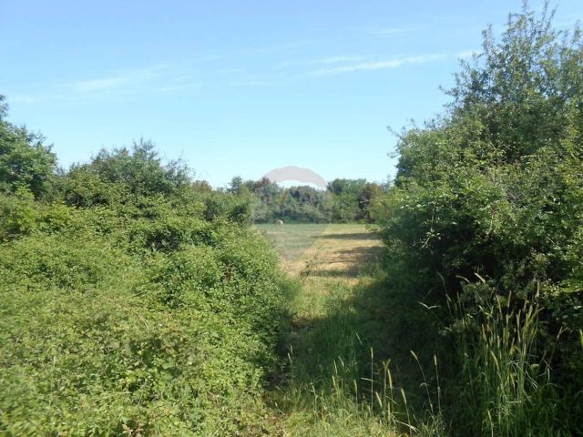 Land For sale - Istarska Pula - foto 5/5