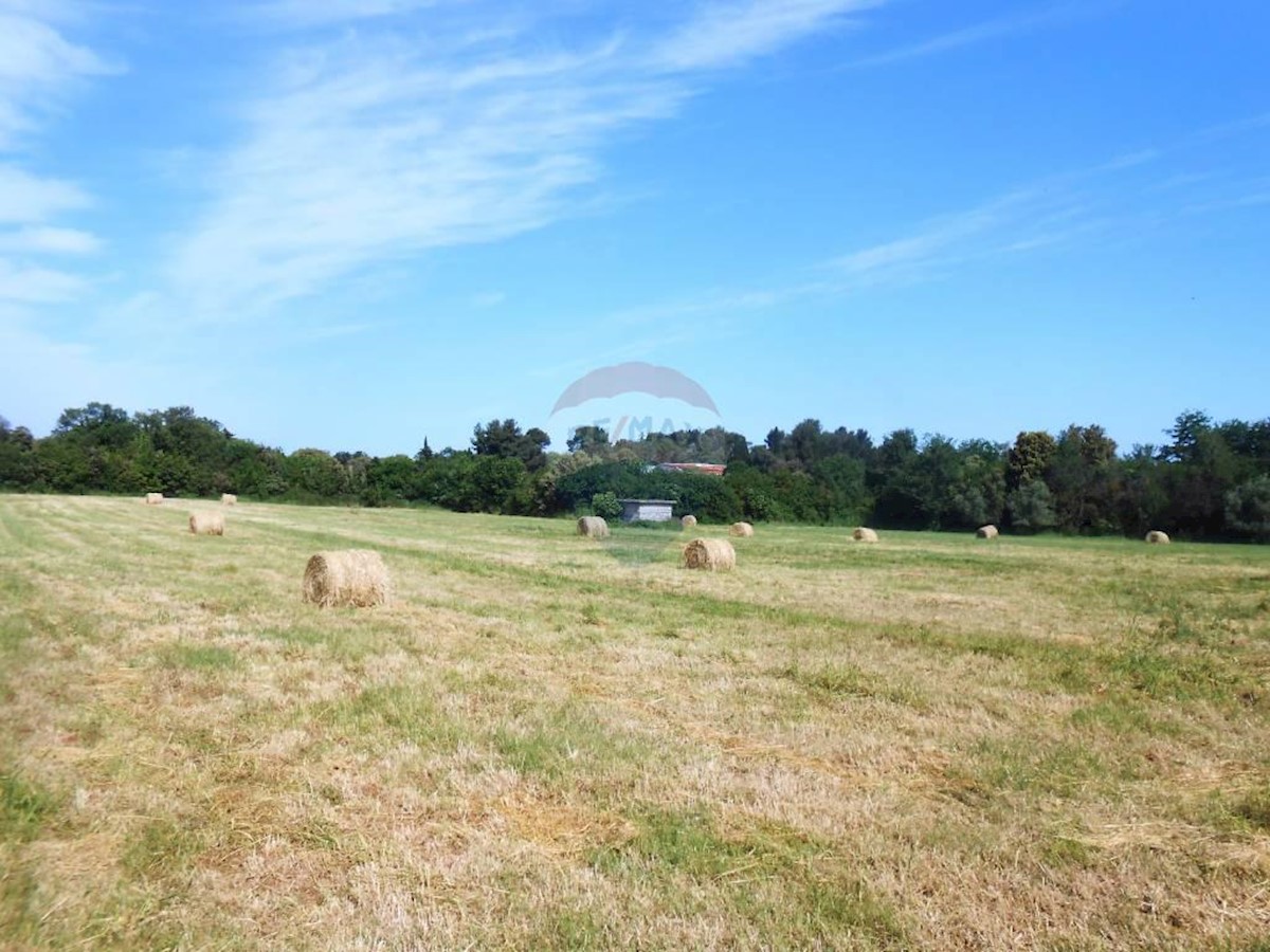 Land For sale - Istarska Pula - foto 3/4