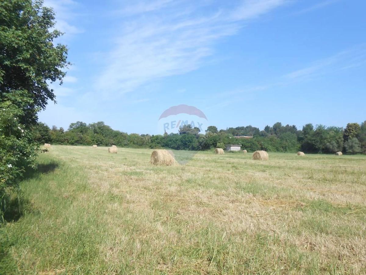 Land For sale - Istarska Pula - foto 4/4