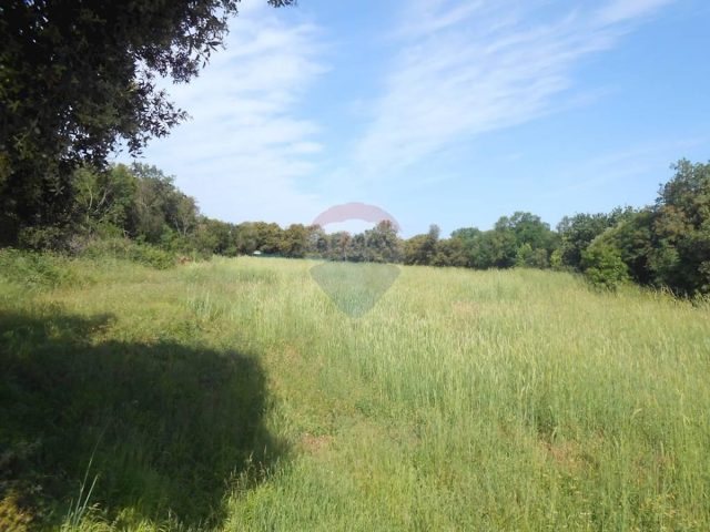 Pozemek na prodej 5538 m² – Pula