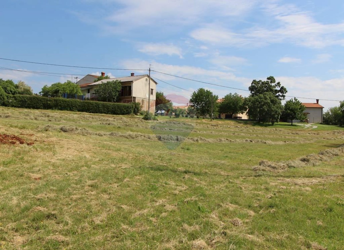 Terreno In vendita NOVAKI MOTOVUNSKI