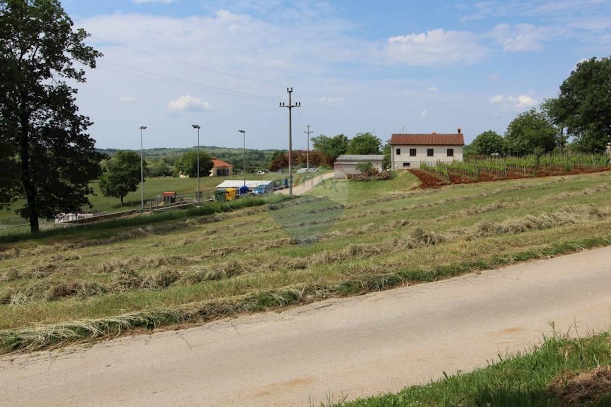 Terreno In vendita - ISTARSKA  KAROJBA 