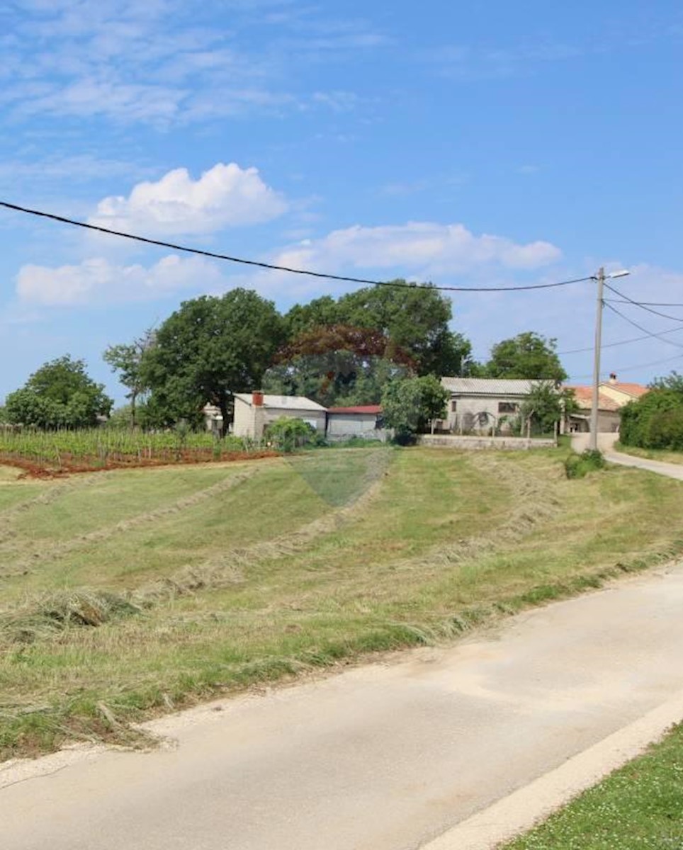 Terreno In vendita - ISTARSKA  KAROJBA 