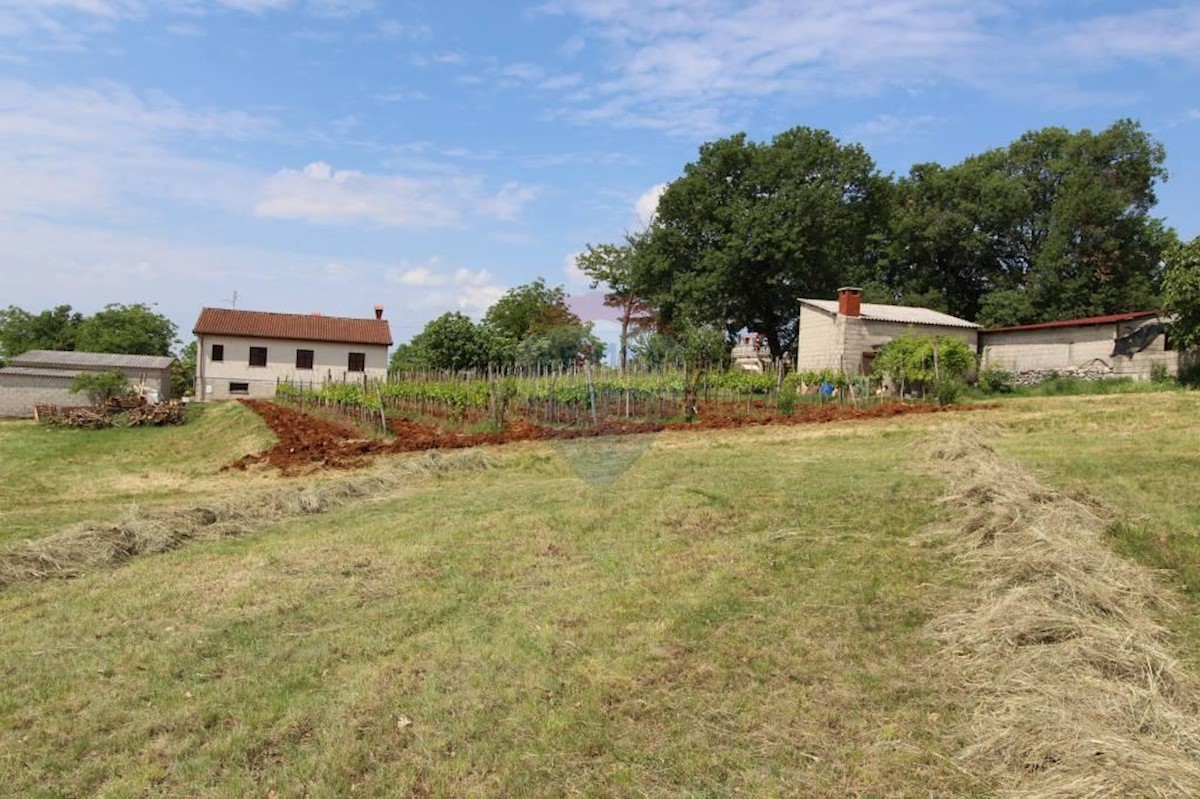 Terreno In vendita - ISTARSKA  KAROJBA 