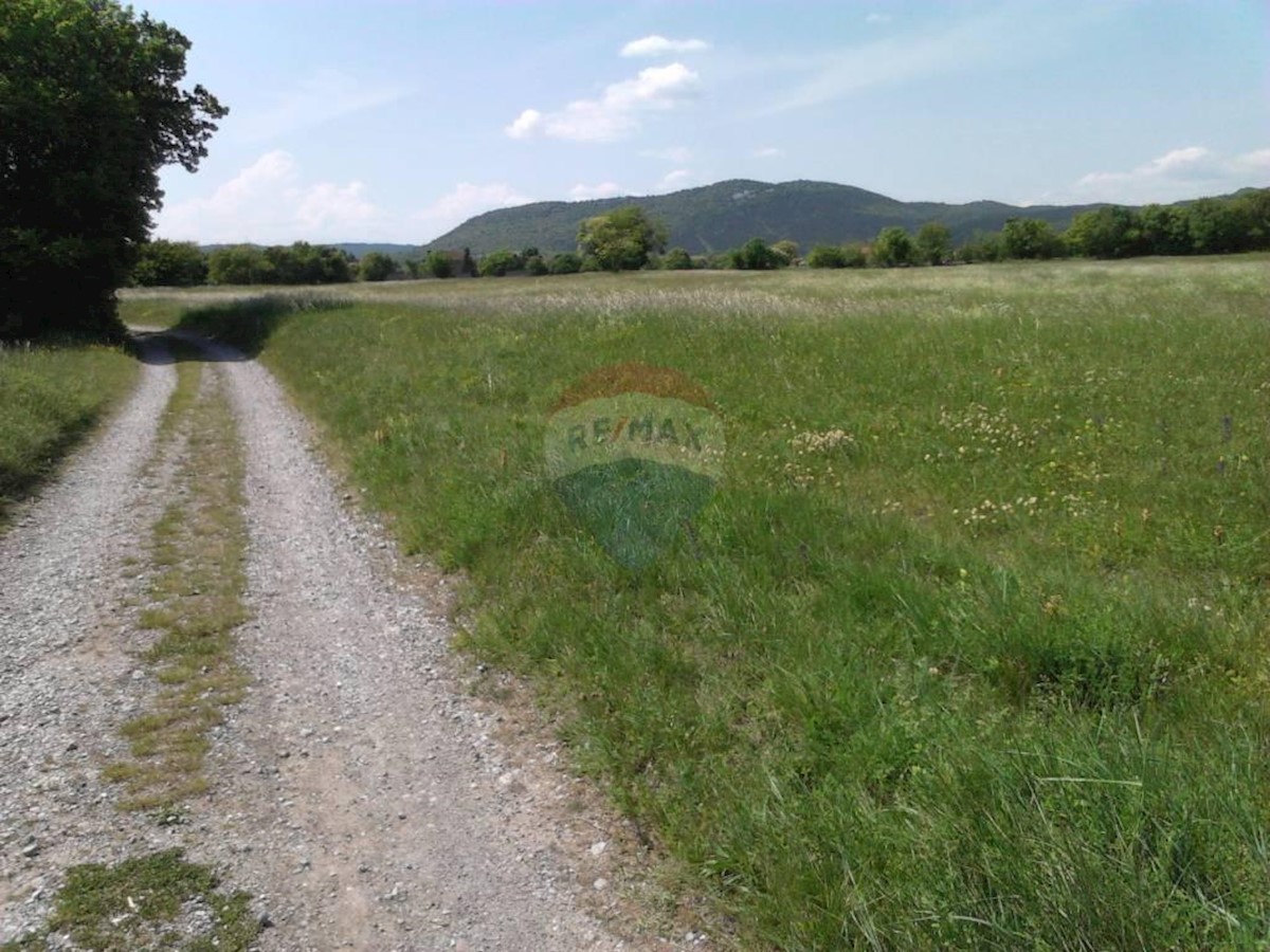 Land For sale - PRIMORSKO-GORANSKA  JELENJE 