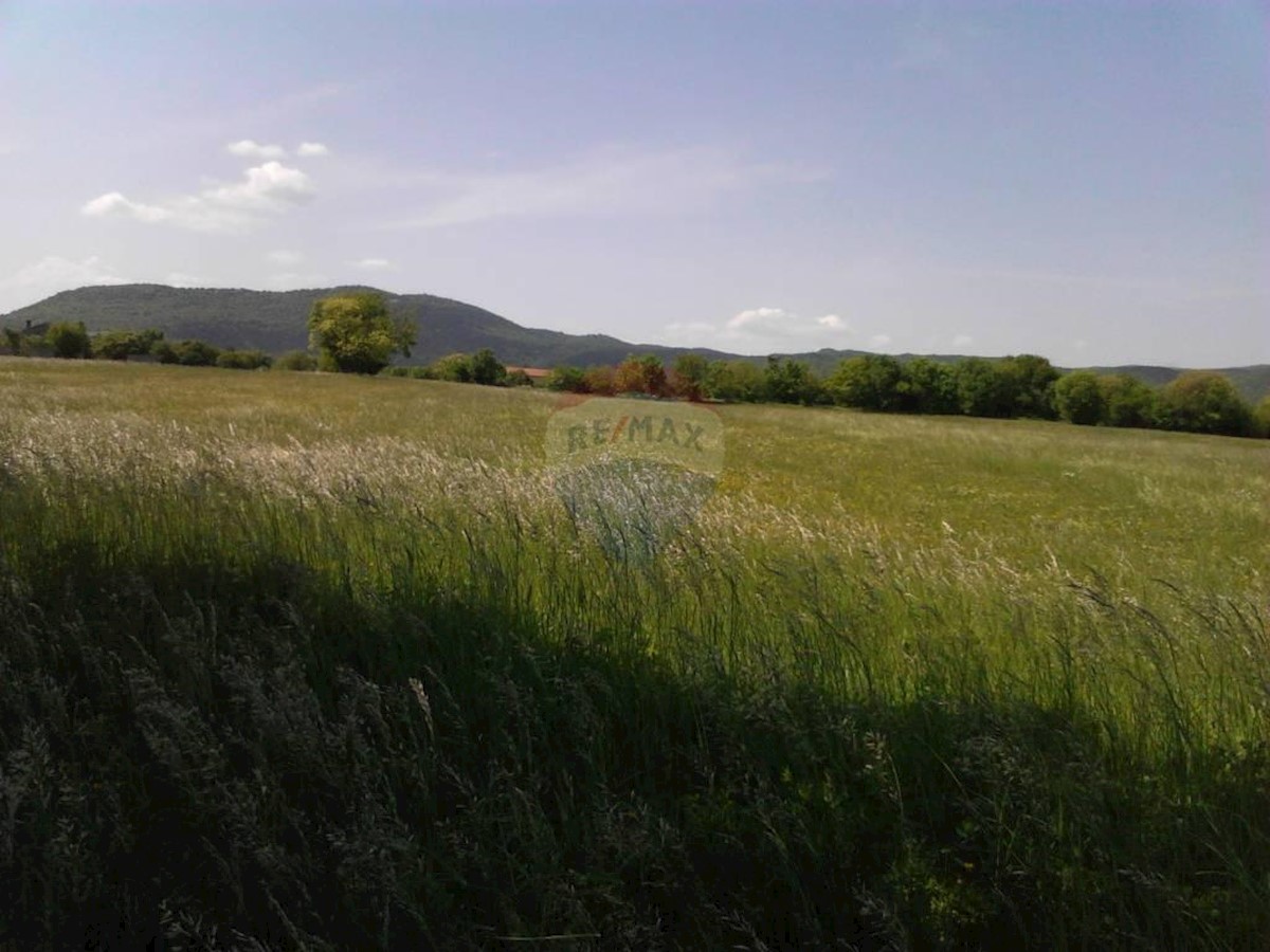 Land For sale - PRIMORSKO-GORANSKA  JELENJE 