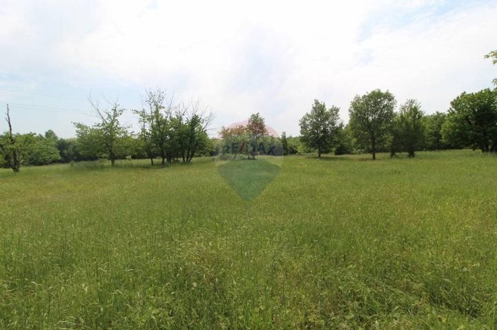 Land for sale 5397 m² – Višnjan