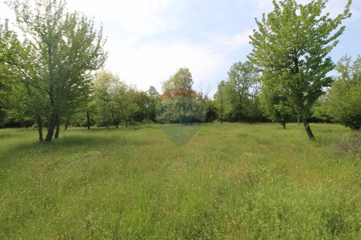 Land For sale - ISTARSKA  Višnjan