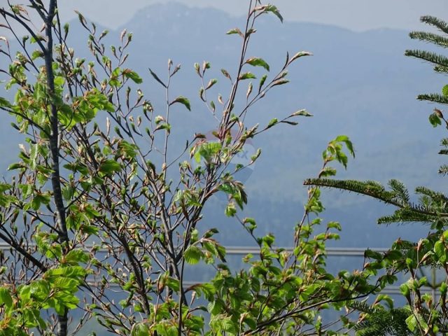 Pozemok Na predaj - Primorsko-goranska Fužine - foto 3/9