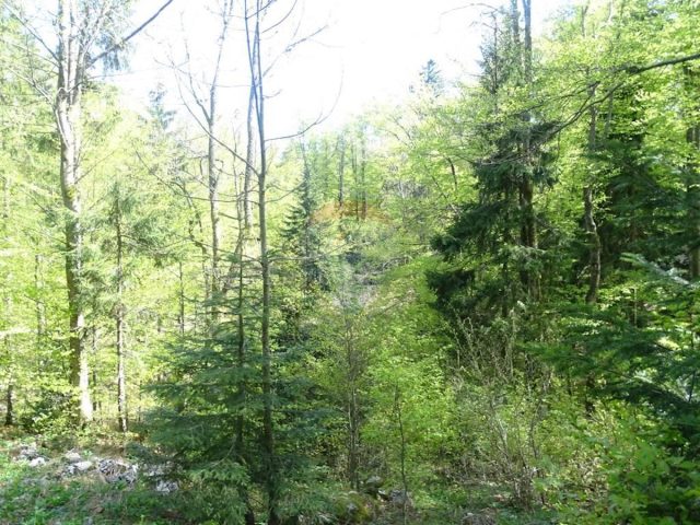 Pozemok Na predaj - Primorsko-goranska Fužine - foto 5/9