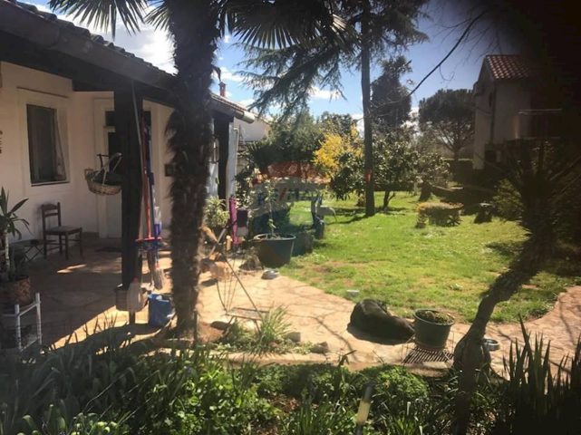Dom Na predaj - Istarska Brtonigla - foto 3/6