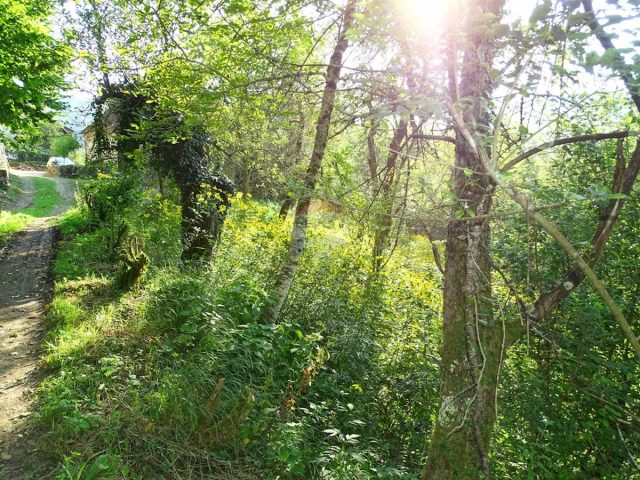 Parcela Naprodaj - Primorsko-goranska Brod Moravice - foto 3/6