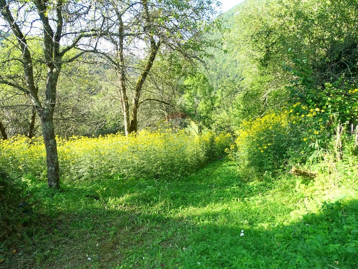 Działka Na sprzedaż - PRIMORSKO-GORANSKA  BROD MORAVICE 