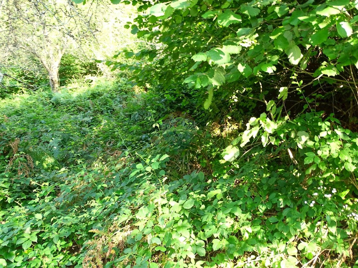 Działka Na sprzedaż - PRIMORSKO-GORANSKA  BROD MORAVICE 