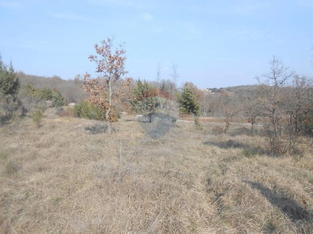 Land for sale 2332 m² – Šorići