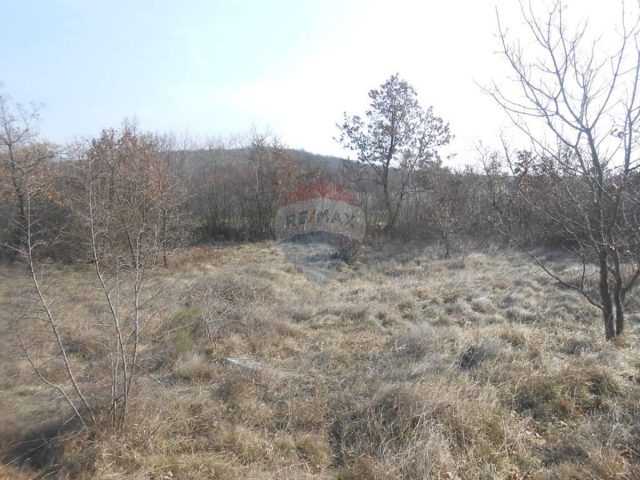 Pozemek Na prodej - Istarska Kanfanar - foto 2/7