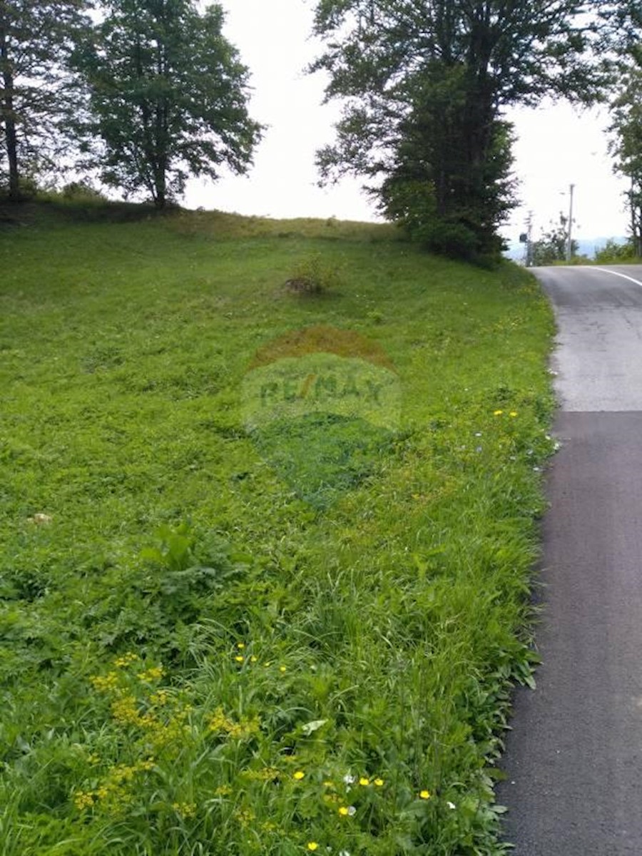 Land For sale - PRIMORSKO-GORANSKA  RAVNA GORA 