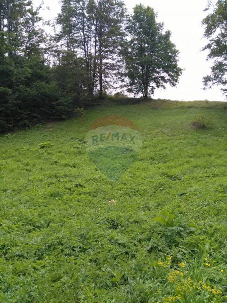 Land For sale - PRIMORSKO-GORANSKA  RAVNA GORA 