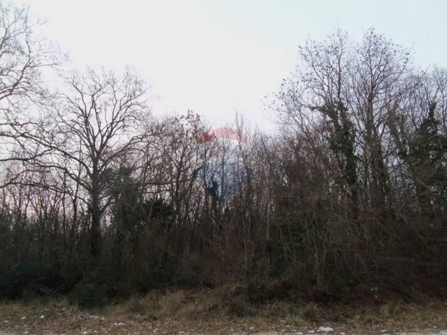 Land for sale 15531 m² – Višnjan
