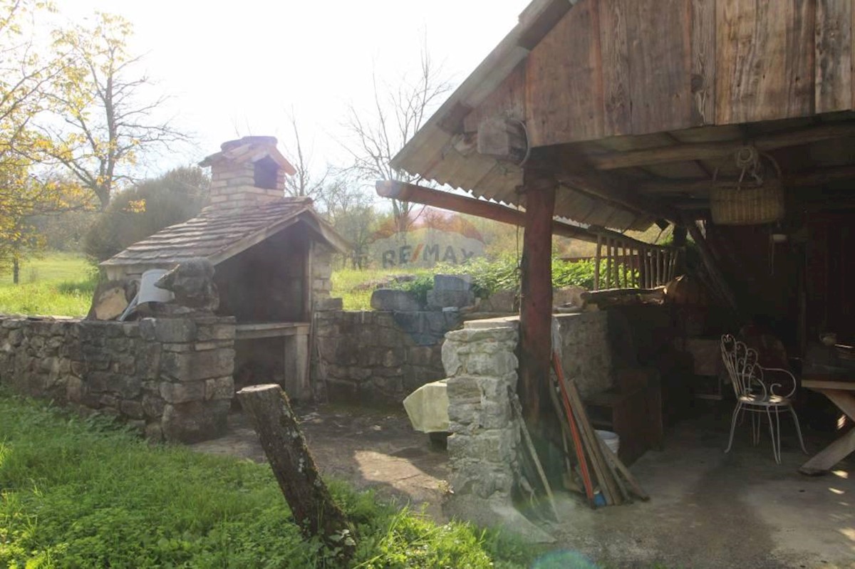 Haus Zu verkaufen - ISTARSKA  PAZIN 