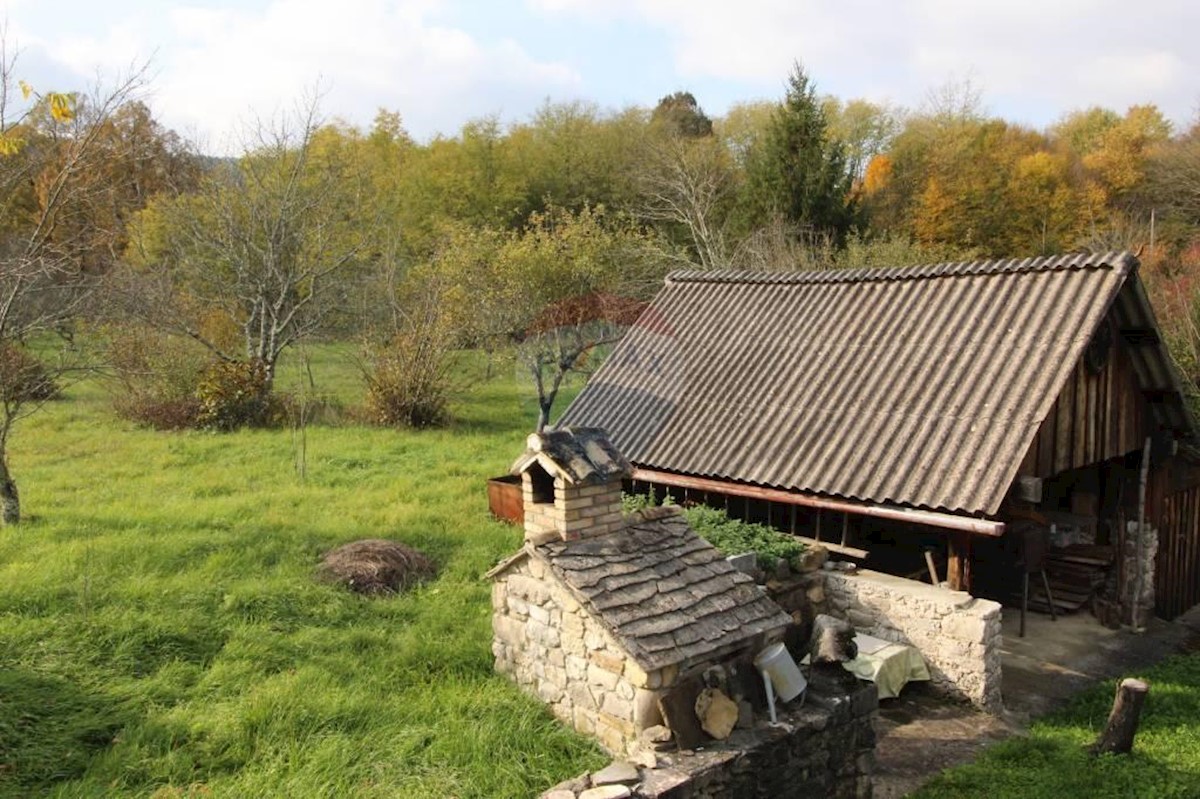 Casa In vendita - ISTARSKA  PAZIN 