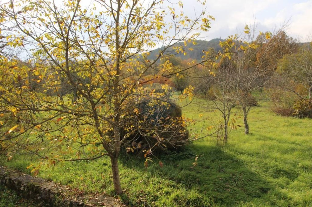 Kuća Na prodaju - ISTARSKA  PAZIN 