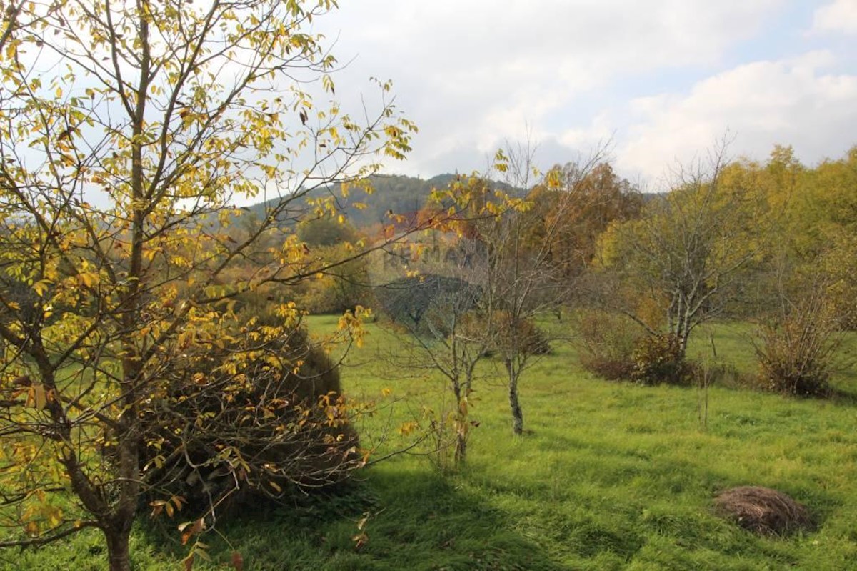 Dům Na prodej - ISTARSKA  PAZIN 