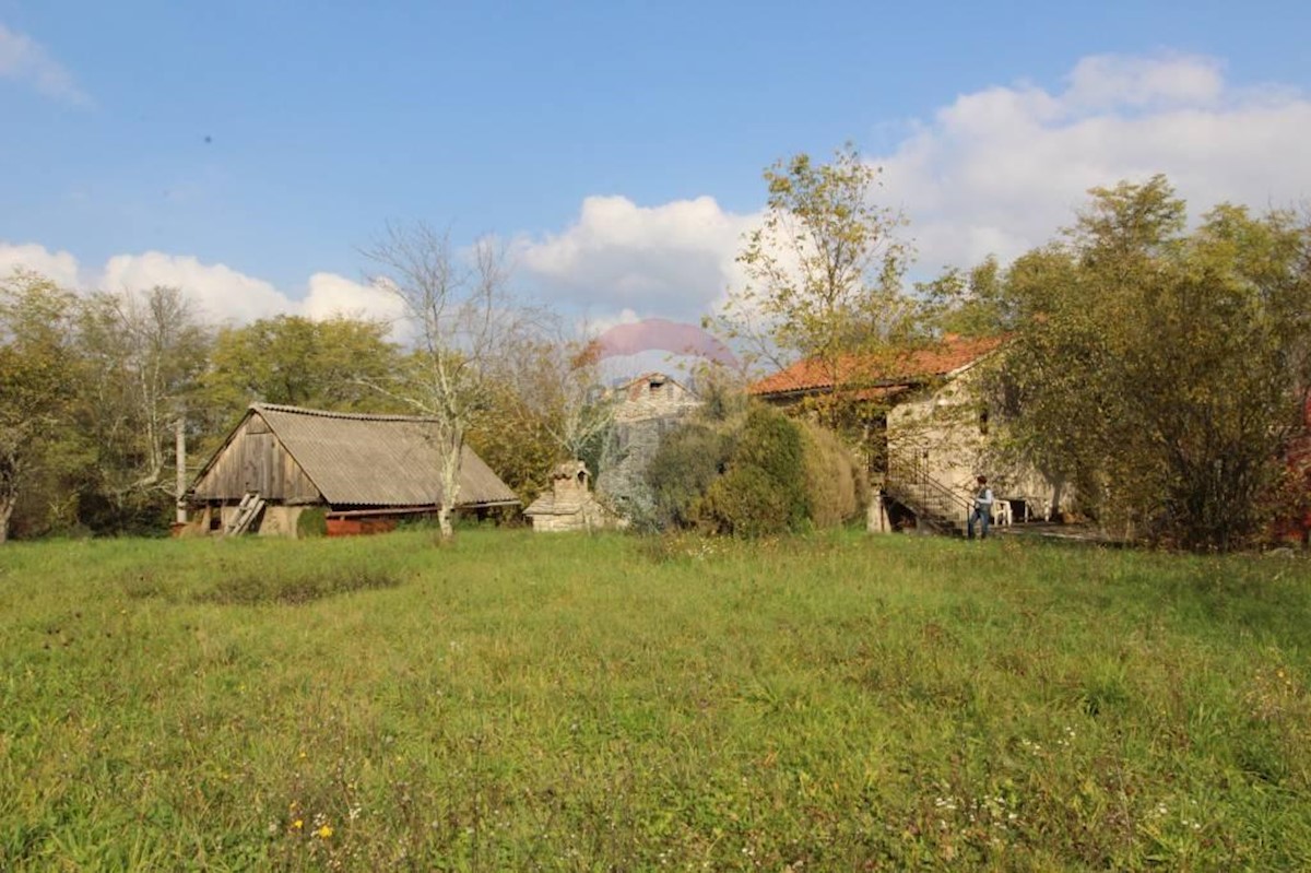 House For sale - ISTARSKA  PAZIN 