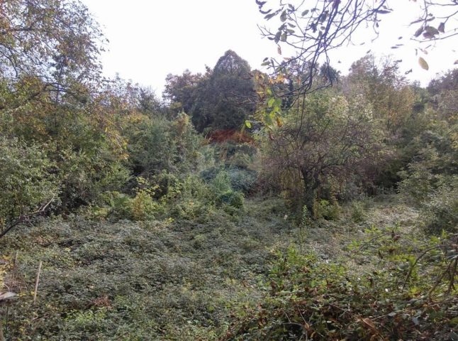 Pozemok na predaj 2220 m² – Kastav