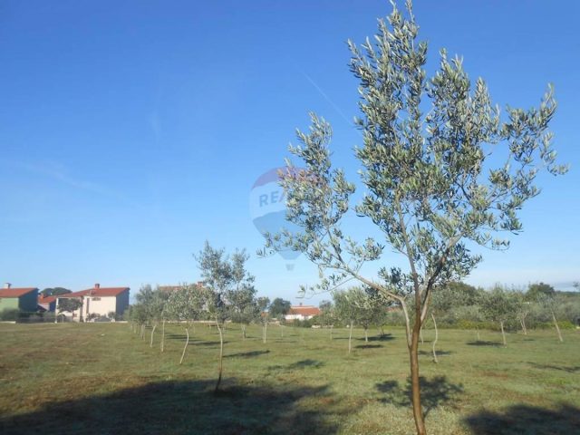 Terreno In vendita - Istarska Vodnjan - foto 3/7