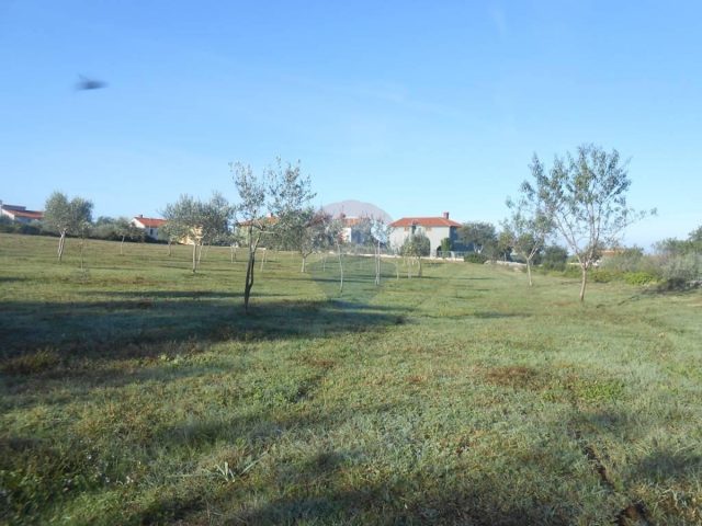 Terreno In vendita - Istarska Vodnjan - foto 5/7