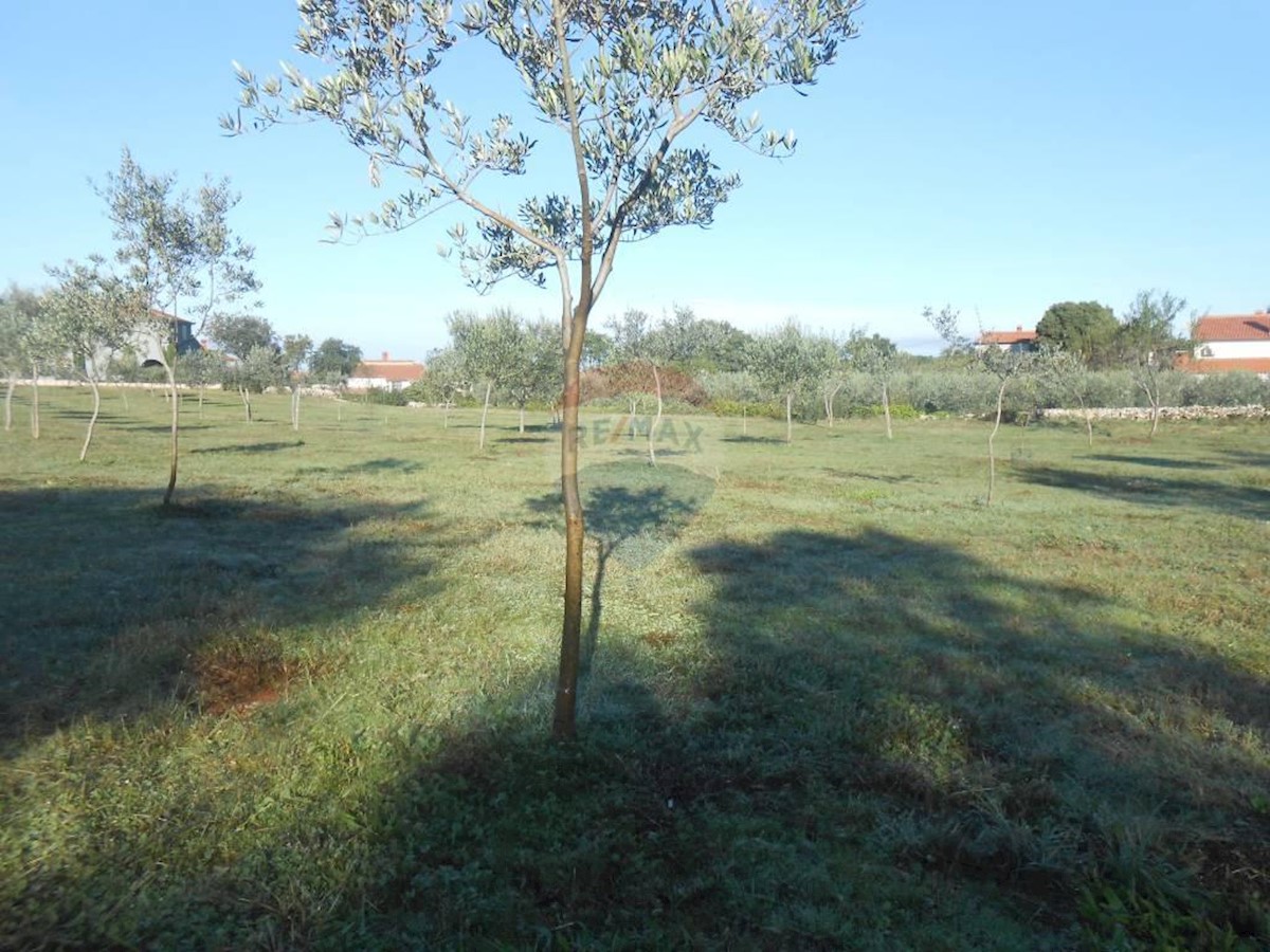 Zemljište Na prodaju - ISTARSKA  VODNJAN 