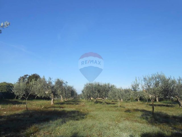 Terreno In vendita - Istarska Vodnjan - foto 5/7