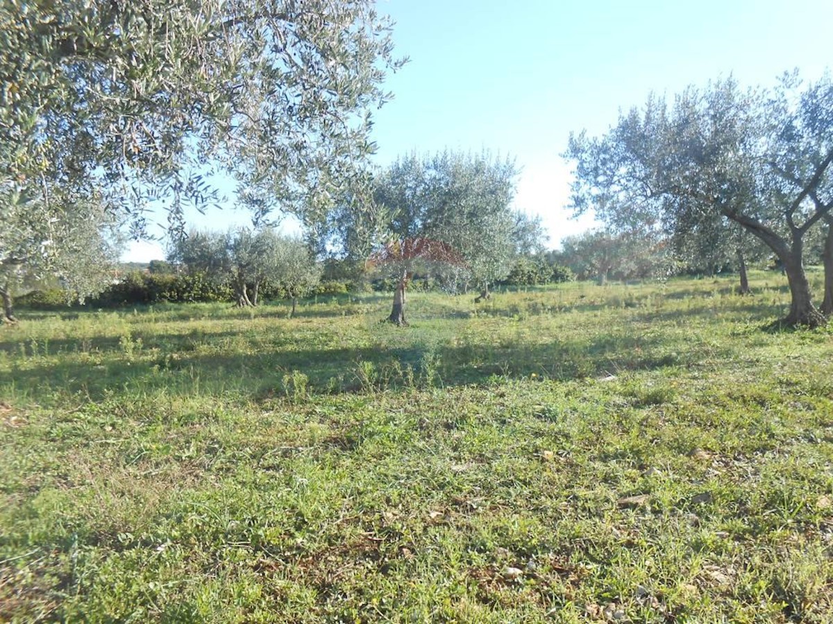 Terreno In vendita - ISTARSKA  VODNJAN 