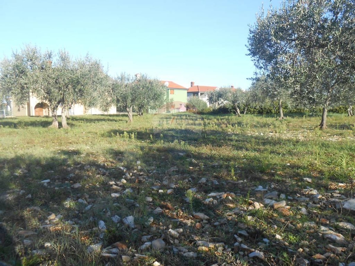 Terreno In vendita - ISTARSKA  VODNJAN 