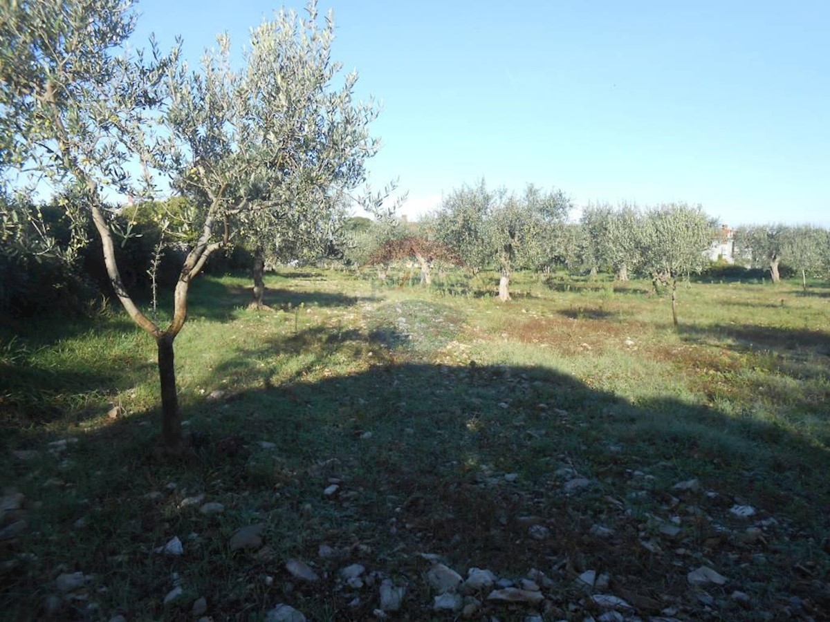 Terreno In vendita - ISTARSKA  VODNJAN 