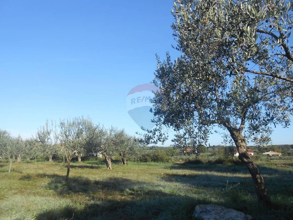 Land For sale - ISTARSKA  Vodnjan
