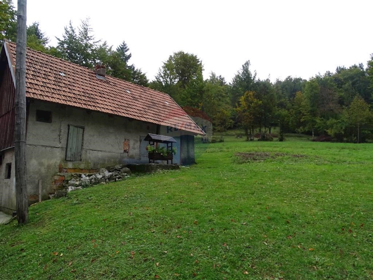 House For sale - PRIMORSKO-GORANSKA  DELNICE 
