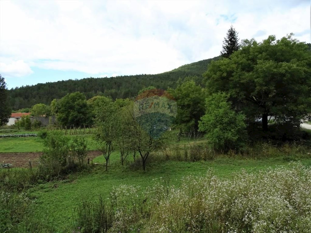 Haus Zu verkaufen - ISTARSKA  LANIŠĆE 